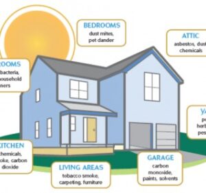 Common Indoor Air Quality Issues
